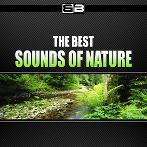 Tovia Singer - Sound Of Nature
