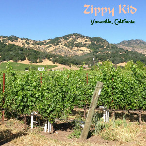 Vacaville, California