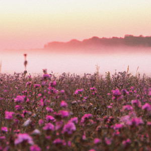 noteaf — Summer Thrills