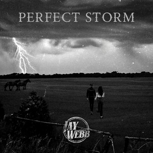 Perfect Storm by Jay Webb