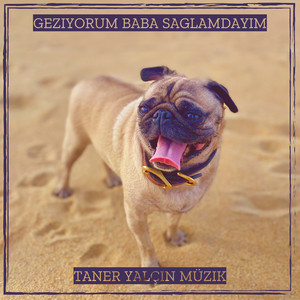 Taner Yalçın Müzik - Geziyorum Baba Saglamdayim