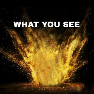 What You See by What You See