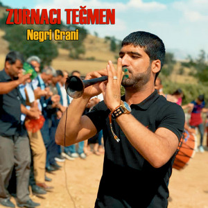 Zurnacı Teğmen - Grani
