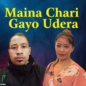 Mohan KC - Maina Chari Gayo Udera (feat. Kishan Khatri & Devi Gharti)