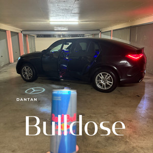 Bulldose by Dantan