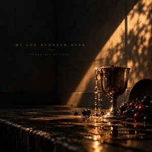 Out Like A Light by Snake Oil Revival