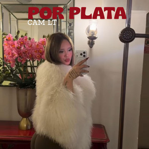 Por Plata by Cami LT