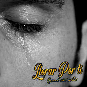 Llorar por Ti by Cami del Sol