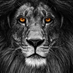 Camila Barros - Emotional Cinematic Background