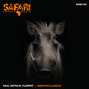 Under No Illusion - Original Mix by Saul Antolin, FLOWFAT
