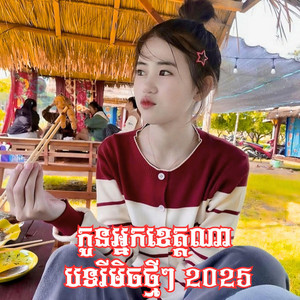 Rin Theang - កូនអ្នកខេត្តណា បទរីមិចថ្មីៗ 2026 Remix Song