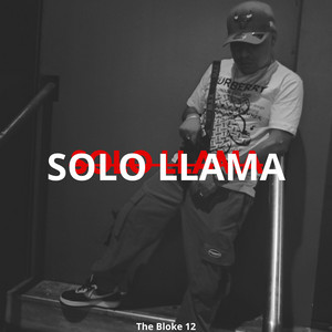 Solo llama by TheBloke12, Khabia, JP The New Generation