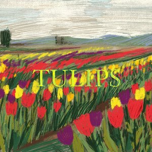 Tulips by Jost Esser, Nuncc