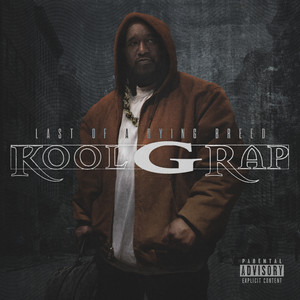 Ill Street Blues - song and lyrics by Kool G Rap, DJ Polo | Spotify