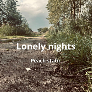 lonely nights by peach static