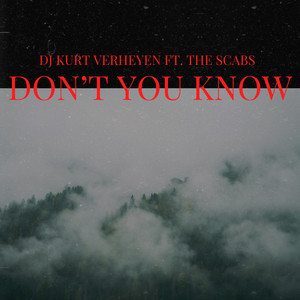 Don't You Know - Radio Mix by Kurt Verheyen, The Scabs