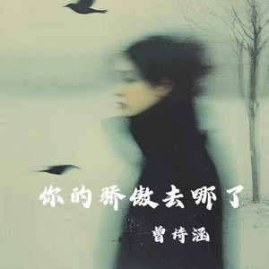 你的骄傲去哪了 - Dj版 by 曾诗涵, 王娜