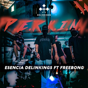 P.E.R.K.I.N.