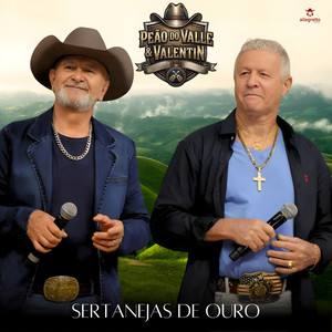 Tchau Amor by Peão do Valle & Valentin
