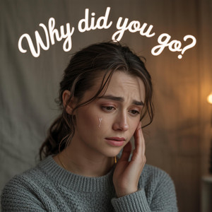 Why Did You Go by Mr.Seak1
