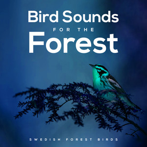 Bird Sounds for the Forest album