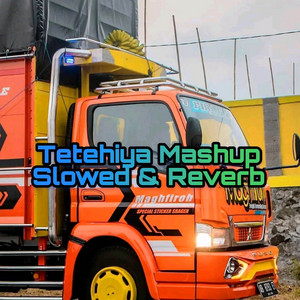 Tetehiya Mashup Slowed & Reverb