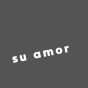 su amor by Nuevo guerillo