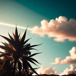 A.I.RTIST - High Times