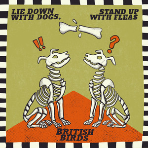 Lie Down With Dogs, Stand Up With Fleas - Radio Edit by British Birds