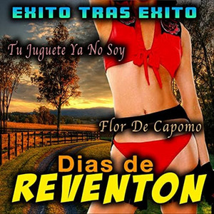 DIAS DE REVENTON ÉXITO TRAS ÉXITO & El Jilguero De La Sierra - Olvide Tu Nombre