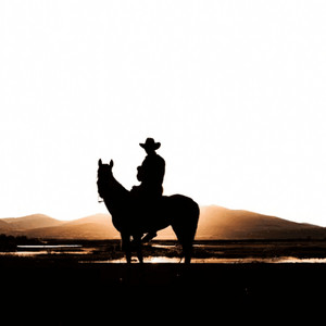 Hell’s Last Ride by Hank Develen