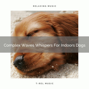 Complex Waves Whispers For Indoors Dogs album