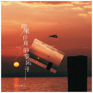 如果你真的要离开 - DJ版伴奏 by DJ小鱼儿