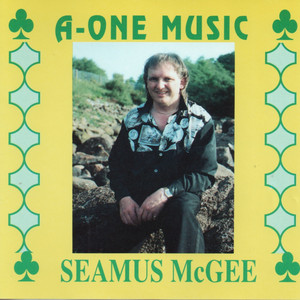 The Bricklayer by Seamus McGee