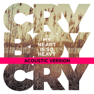 My Heart Is So Heavy - Acoustic Version by Cry Boy Cry