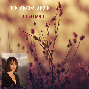 כמו צמח בר