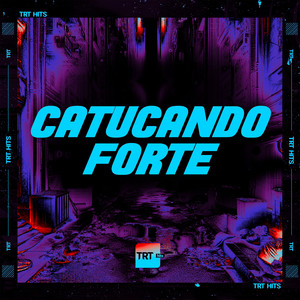 Portada de CATUCANDO FORTE