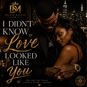 I Didnt Know Love Looked Like You by Delano Malone, Midlife Squencies