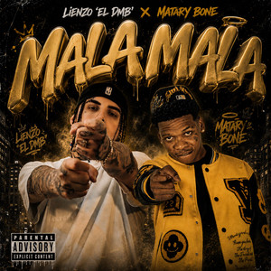 Mala Mala by MATARY BONE, LIENZO 
