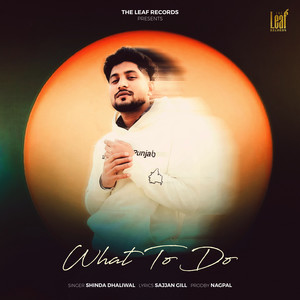 What To Do by Shinda Dhaliwal