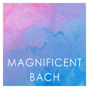 Magnificent Bach album