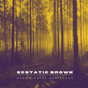 Brown Noise And Focus by Ecstatic Brown
