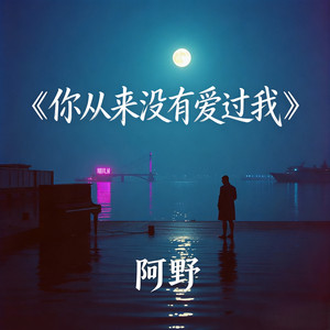 你从来没有爱过我 - 抒情男声版 by 阿野