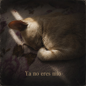 Ya no eres mío by Selin Moon