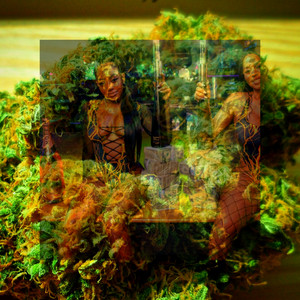 Weed And Gyal by Harlem Richard$, Tee-Jay, Rytikal, Keith Currency