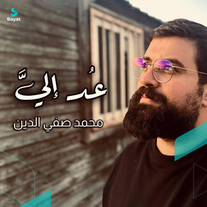 محمد صفي الدين - عد إليّ