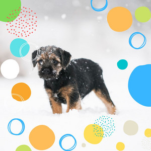 Vibrant Smooth Jazz Chill Out - Background for Doggy Chill Time album