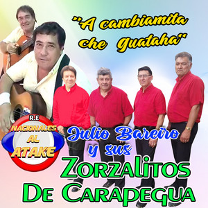 Julio Bareiro y sus Zorzalitos de Carapegua - Ndapytamo'ai Mante Nendive