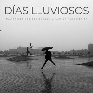 Días Lluviosos: Tranquilos Sonidos De Lluvia Para La Paz Interior album