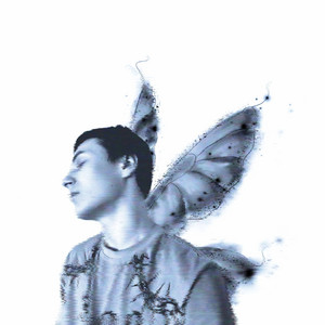 Digital Butterfly